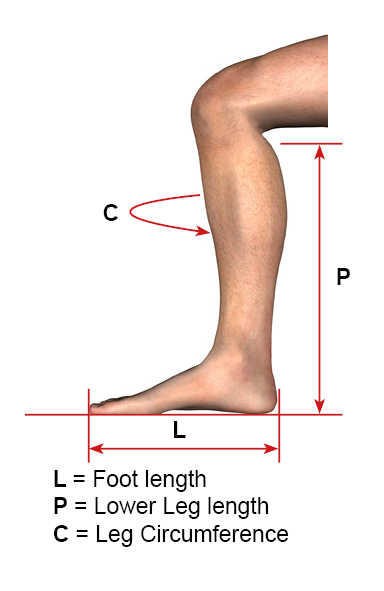 Leg Length Measurement Guide